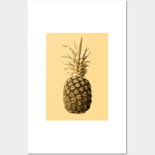 Pineapple 03 Posters and Art